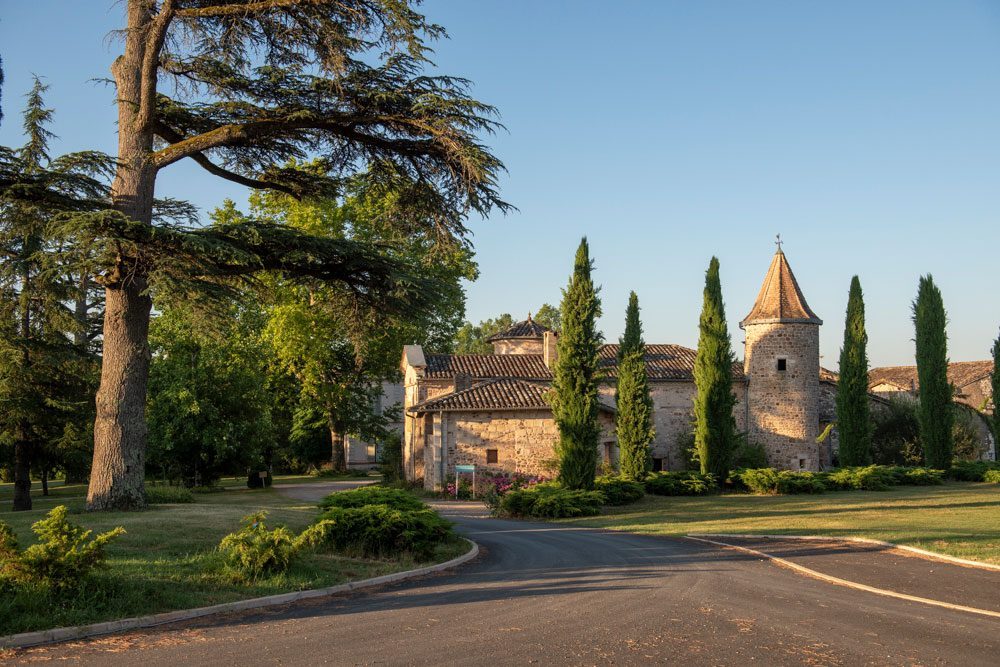 Vignoble